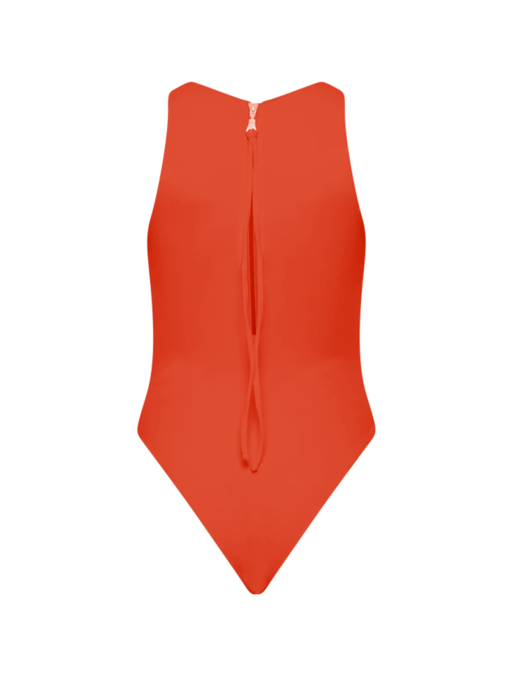 ASTER ONE PIECE - CLEMENTINA